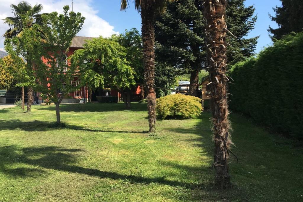 Garola Coccode Διαμέρισμα Luserna San Giovanni Εξωτερικό φωτογραφία